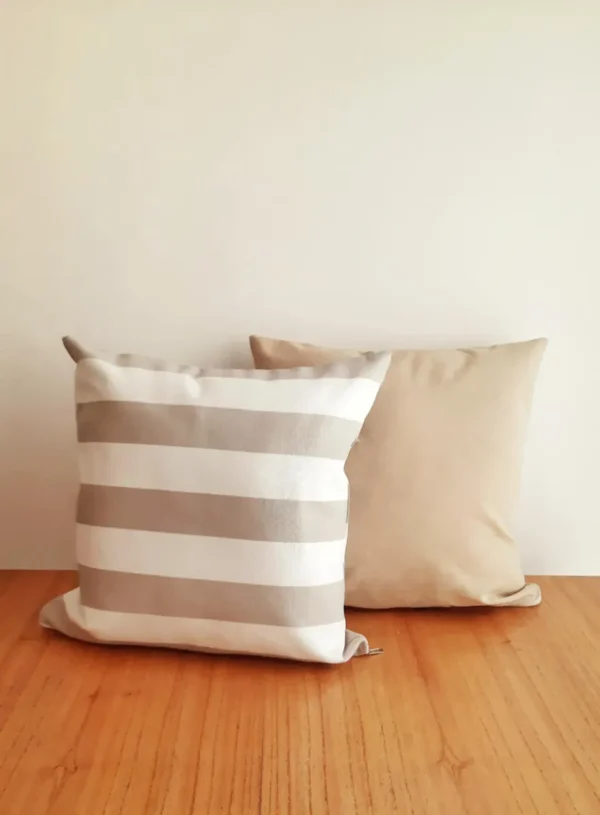 D_NQ_NP_2X_667418-MLA81264868552_122024-F Pack X2 Almohadones Tusor Y Estampados