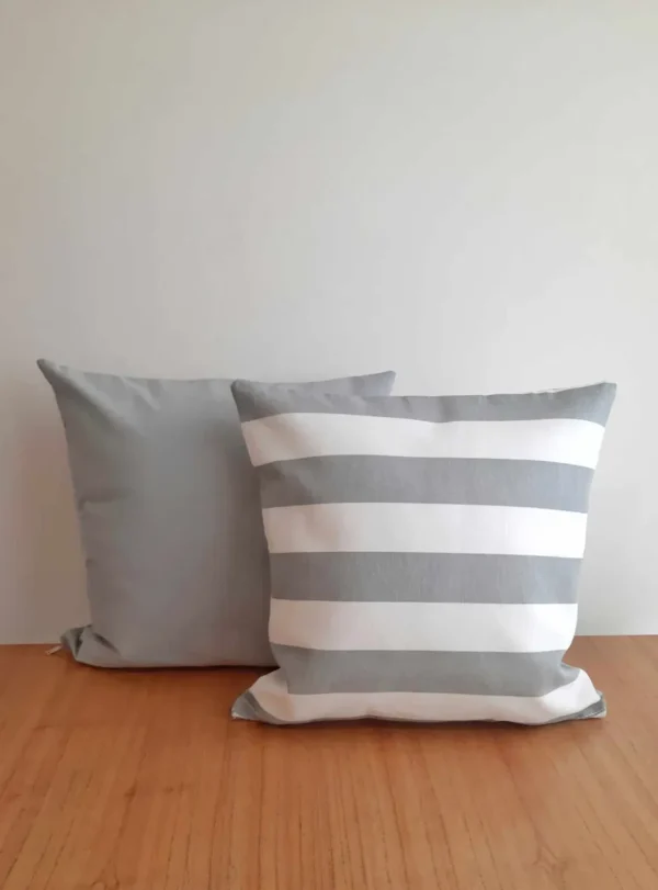 D_NQ_NP_2X_984471-MLA74280421190_022024-F Pack X2 Almohadones Tusor Y Estampados